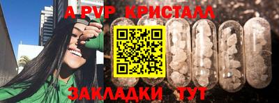 индика Ставрополь