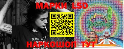 индика Ставрополь