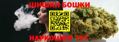 индика Ставрополь