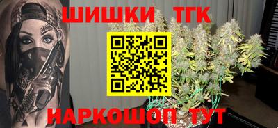индика Ставрополь
