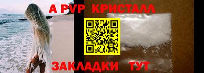 индика Ставрополь