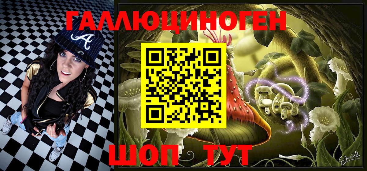 Новоалтайск  Псилоцибиновые грибы MAGIC MUSHROOMS  Вход с VPN 